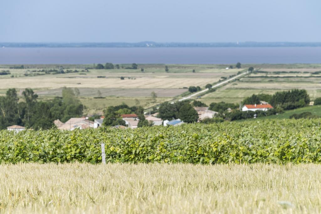 Вилла Demeure D'Alienor Saint-Thomas-de-Conac Экстерьер фото